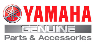 Yamaha Zuma CVT Gaskets - ScooterSwapShop